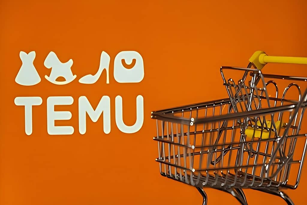 Chinese E-Commerce platform Temu attracting customers from US dollar stores